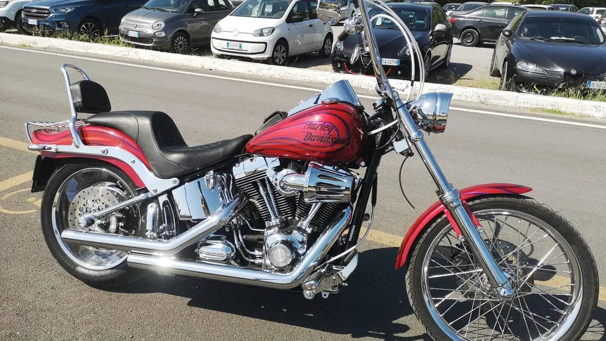 Harley-Davidson 1584 Custom (2008 - 09) - FXSTC  (9)