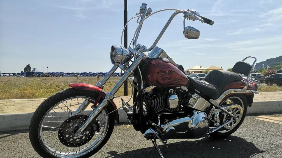 Harley-Davidson 1584 Custom (2008 - 09) - FXSTC  (10)