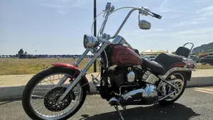 Harley-Davidson 1584 Custom (2008 - 09) - FXSTC  (10)