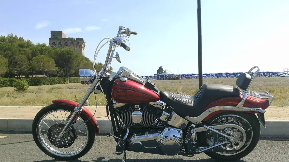 Harley-Davidson 1584 Custom (2008 - 09) - FXSTC  (12)
