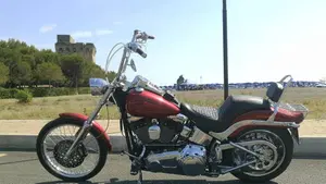 Harley-Davidson 1584 Custom (2008 - 09) - FXSTC  (12)