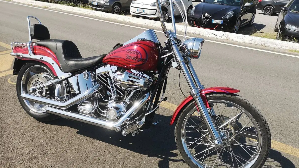 Harley-Davidson 1584 Custom (2008 - 09) - FXSTC  (13)