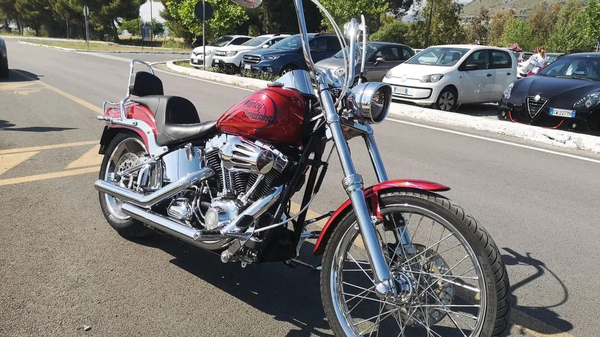 Harley-Davidson 1584 Custom (2008 - 09) - FXSTC  (17)