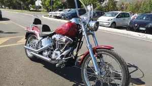Harley-Davidson 1584 Custom (2008 - 09) - FXSTC  (17)