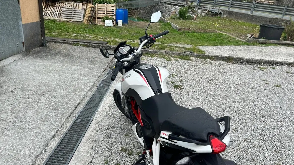 Benelli BN 251 (2017 - 20)  (8)