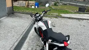 Benelli BN 251 (2017 - 20)  (8)