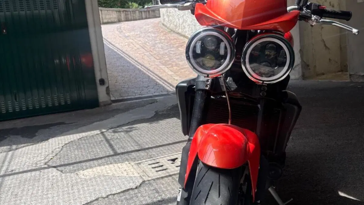 Triumph Speed Triple 1050 (2005 - 11)  (2)