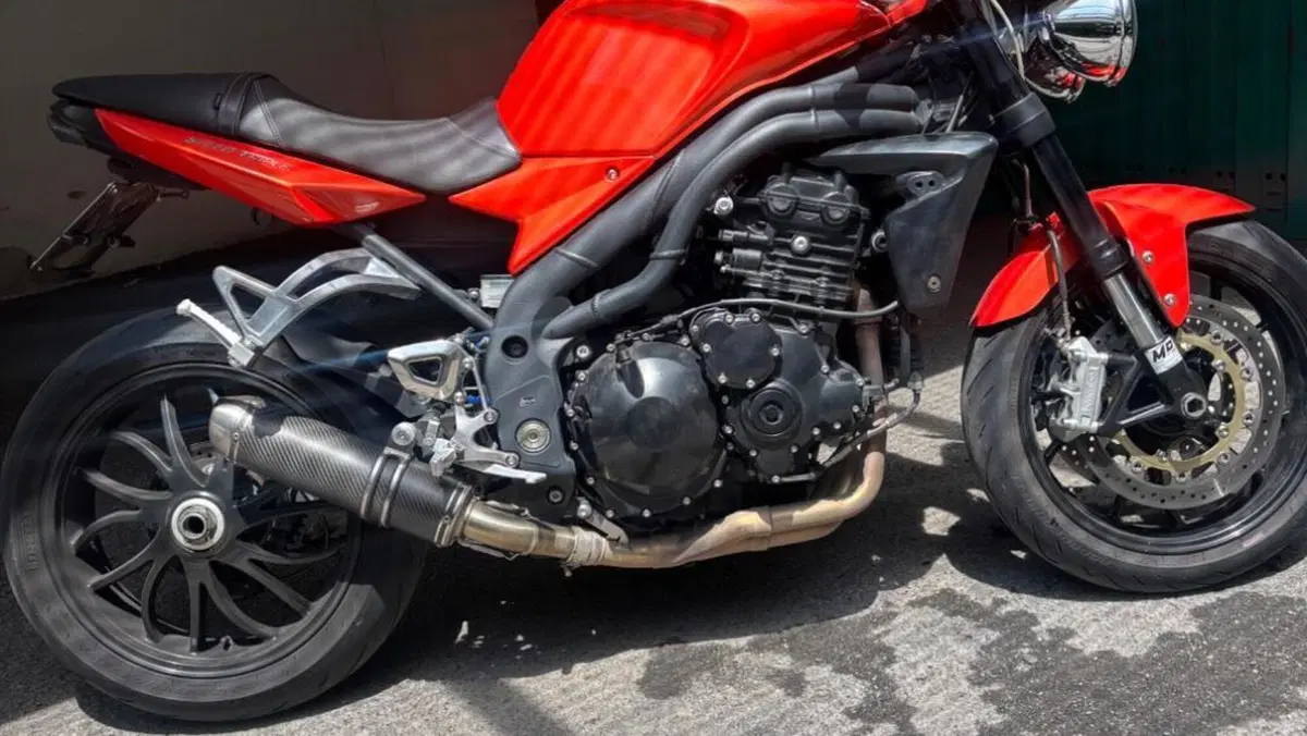 Triumph Speed Triple 1050 (2005 - 11)  (3)