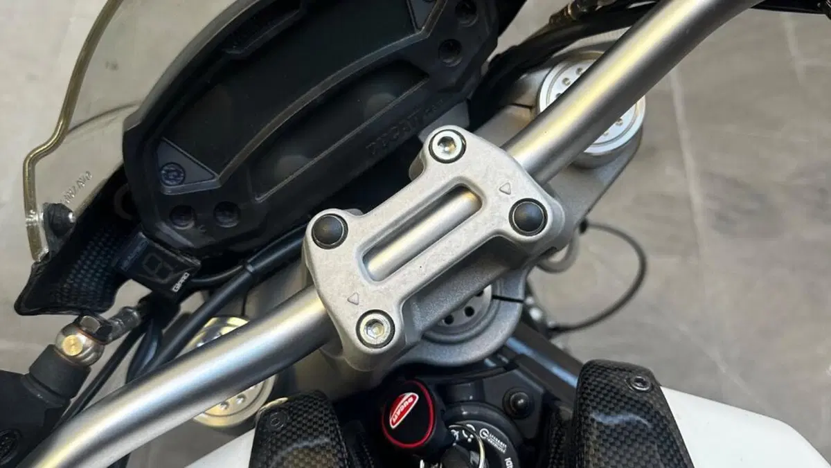 Ducati Monster 696 ABS (2009 - 14)  (7)