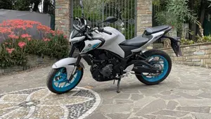Yamaha MT-03 (2025 - 26) 