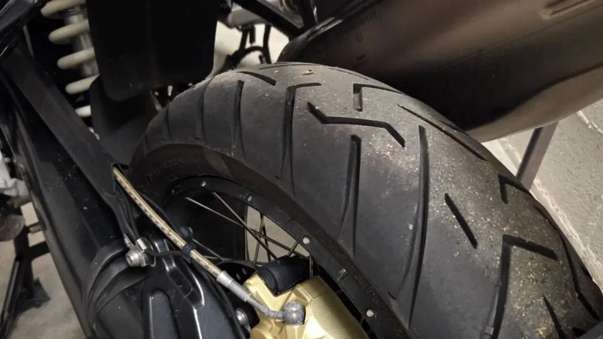 Bmw R 1250 GS (2019 - 20)  (5)