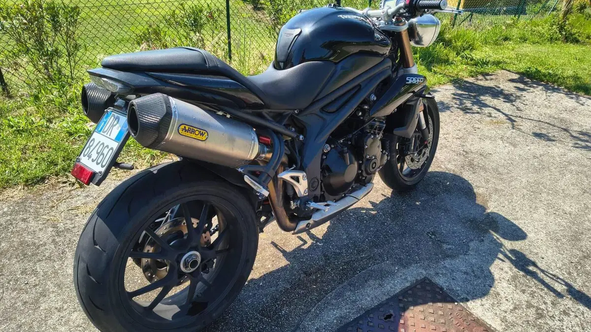 Triumph Speed Triple 1050 (2011 - 13)  (4)