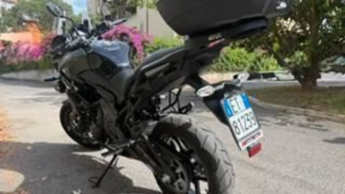 Kawasaki Versys 650 Grand Tourer (2017 - 20)  (4)