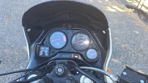 Aprilia Pegaso 650 IE (2001 - 02)  (3)
