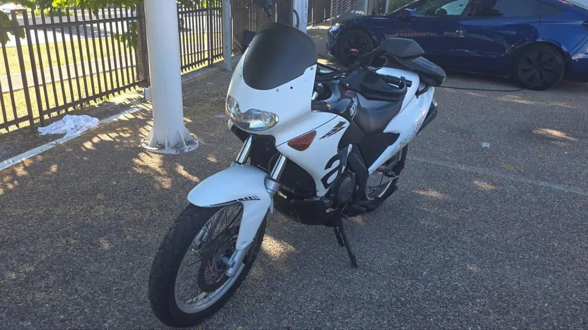 Aprilia Pegaso 650 IE (2001 - 02)  (5)
