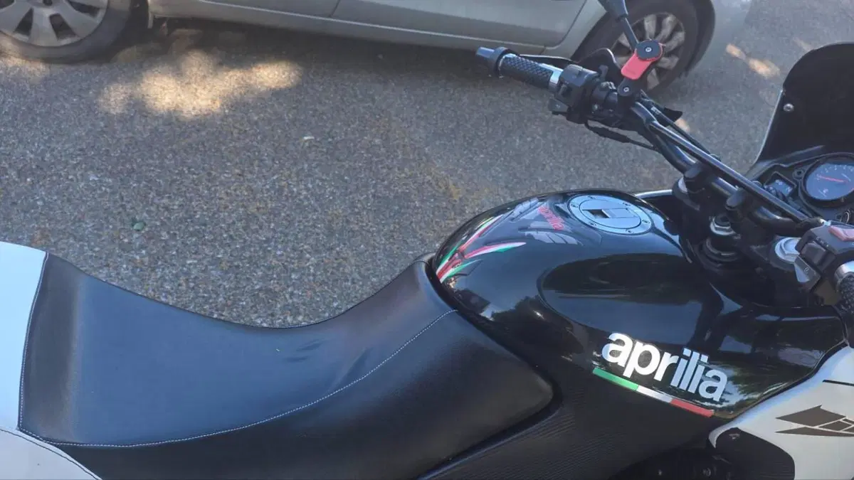 Aprilia Pegaso 650 IE (2001 - 02)  (6)