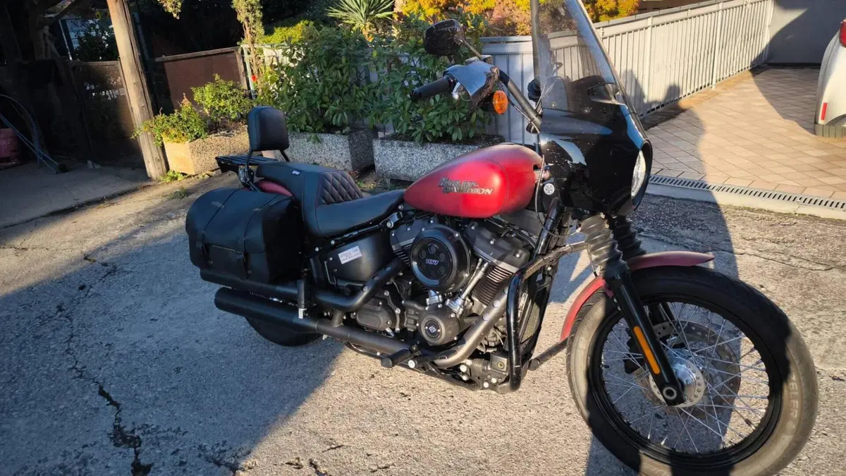 Harley-Davidson 107 Street Bob (2018 - 20) - FXBB  (2)