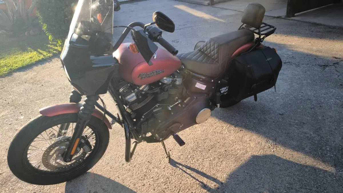 Harley-Davidson 107 Street Bob (2018 - 20) - FXBB  (6)