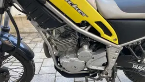 Yamaha Tricker  (4)