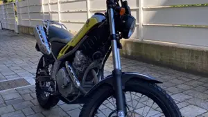 Yamaha Tricker  (6)