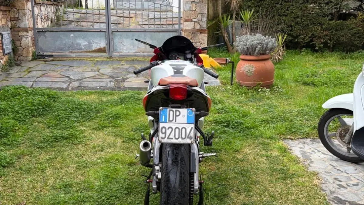 Aprilia RS 125 (2006 - 14)  (6)