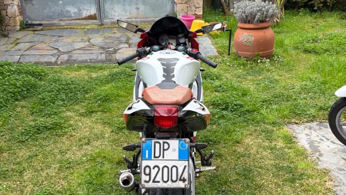 Aprilia RS 125 (2006 - 14)  (7)