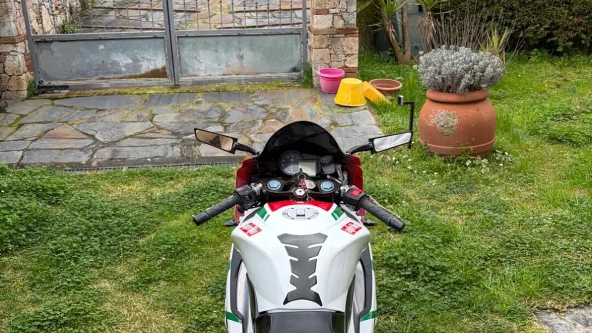 Aprilia RS 125 (2006 - 14)  (8)