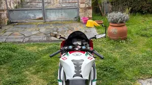 Aprilia RS 125 (2006 - 14)  (8)