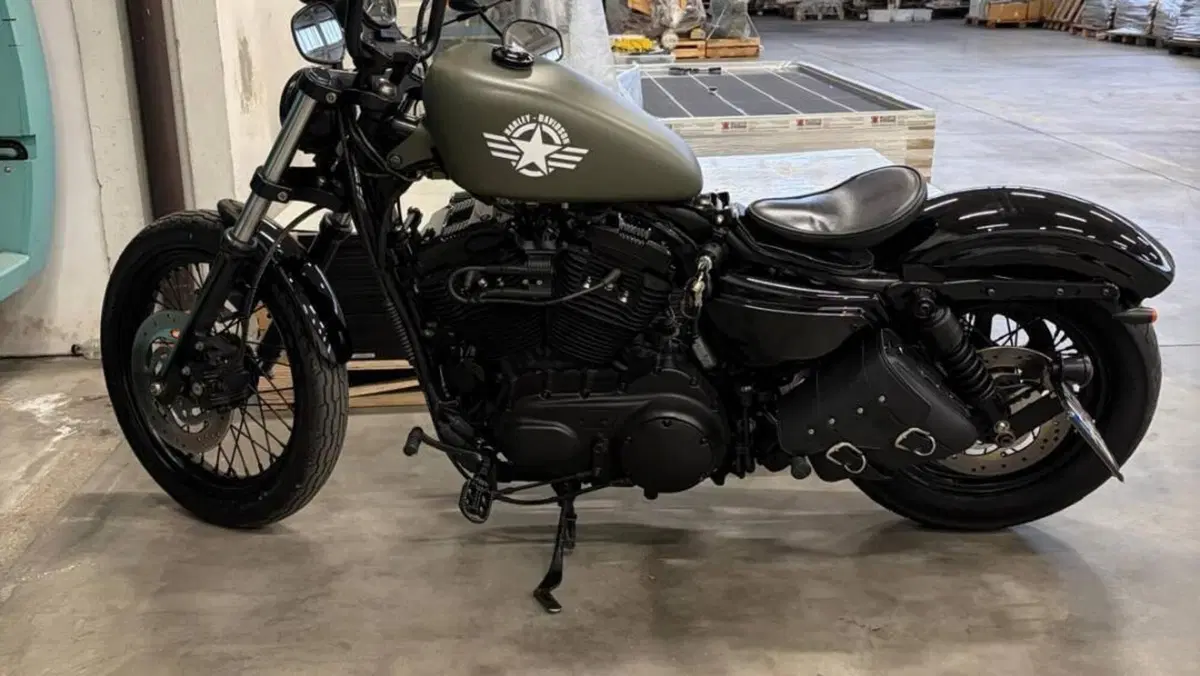 Harley-Davidson XL 1200N Nightster (2008 - 12) 