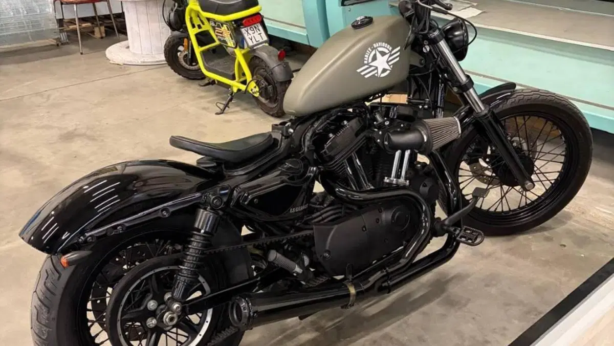 Harley-Davidson XL 1200N Nightster (2008 - 12)  (2)