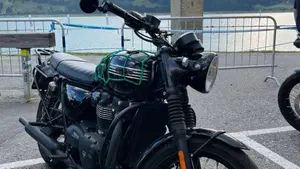 Triumph Bonneville T100 Black (2017 - 20)  (5)