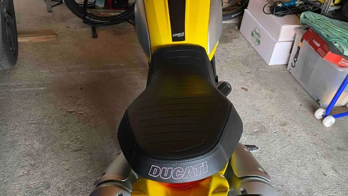 Ducati Scrambler 1100 (2018 - 20)  (3)