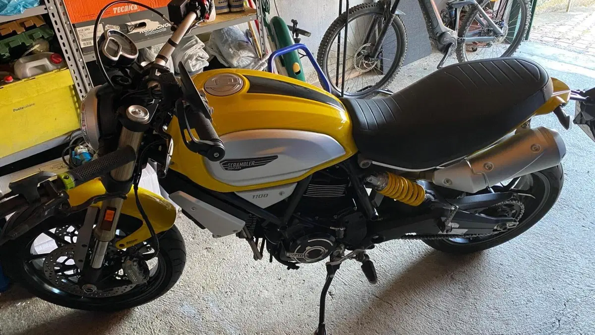 Ducati Scrambler 1100 (2018 - 20)  (4)