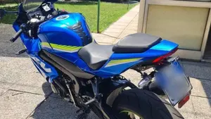Suzuki GSX-R1000 (2017 - 18)  (7)