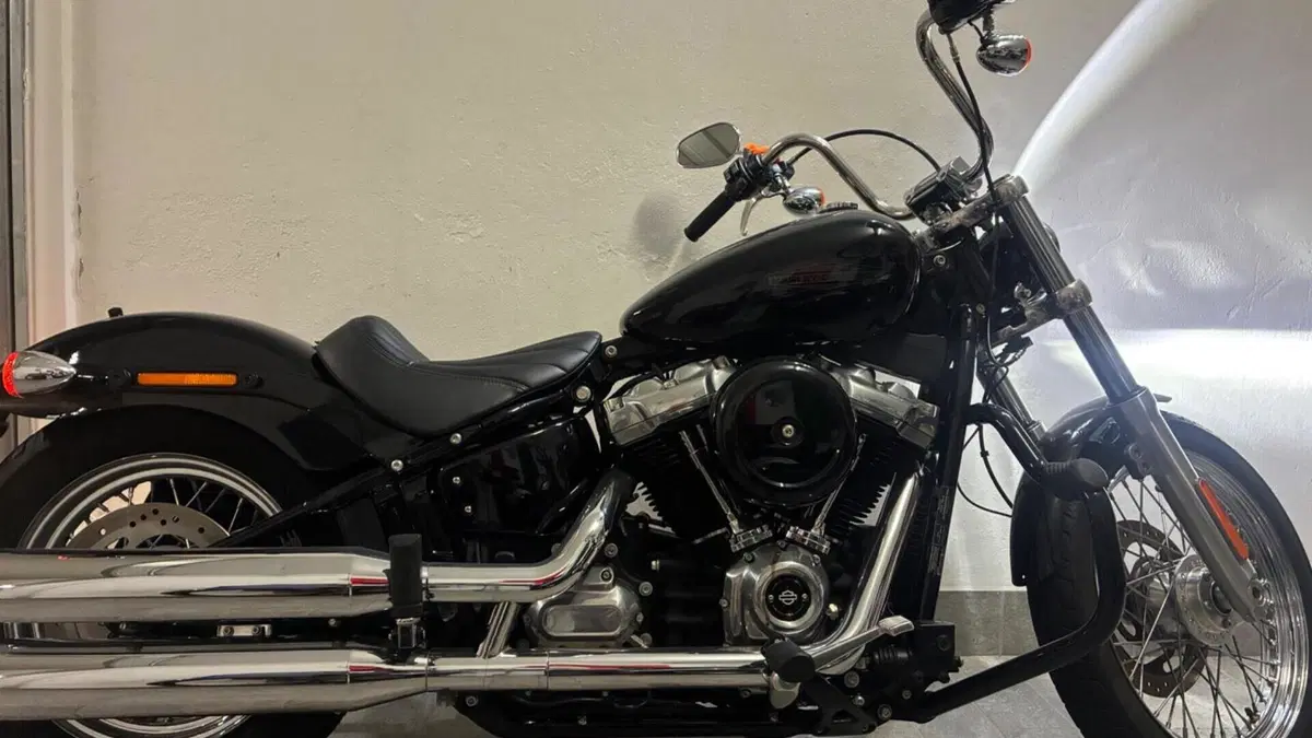 Harley-Davidson Softail Standard (2020) - FXST  (3)
