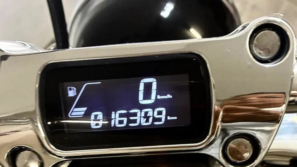 Harley-Davidson Softail Standard (2020) - FXST  (4)