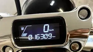 Harley-Davidson Softail Standard (2020) - FXST  (4)