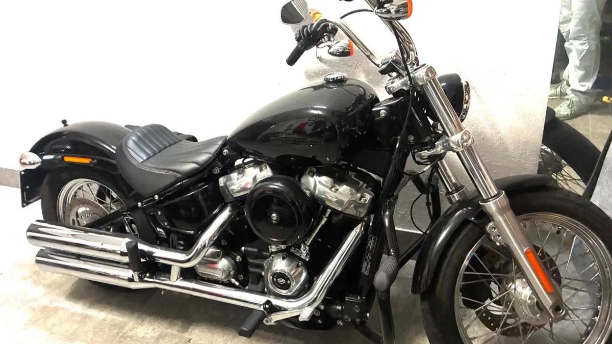 Harley-Davidson Softail Standard (2020) - FXST  (5)