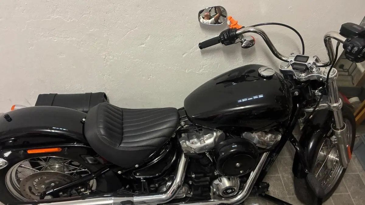 Harley-Davidson Softail Standard (2020) - FXST  (7)