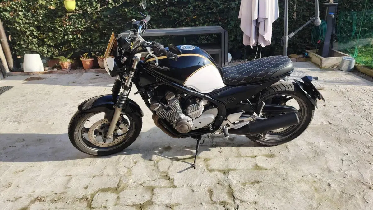 Yamaha XJ 600 S Diversion (1992 - 02)  (4)