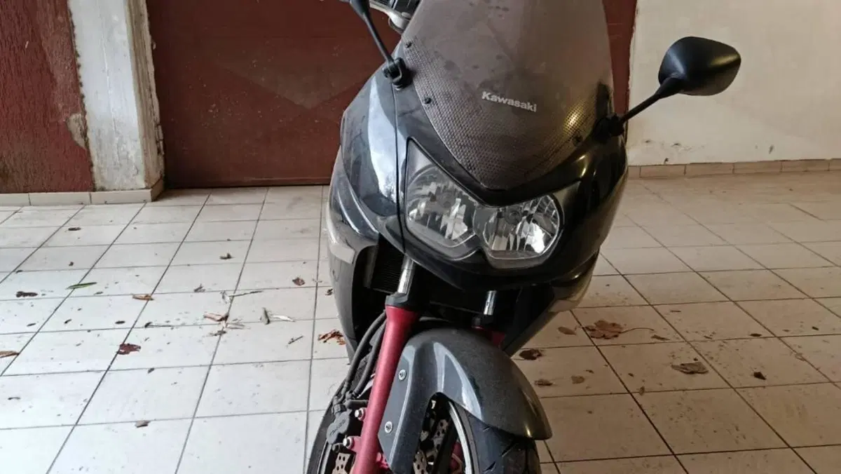 Kawasaki ER-6F (2006 - 08)  (2)