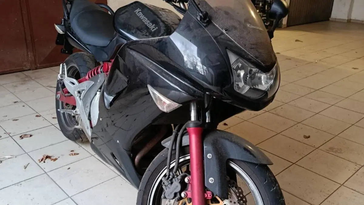 Kawasaki ER-6F (2006 - 08)  (3)