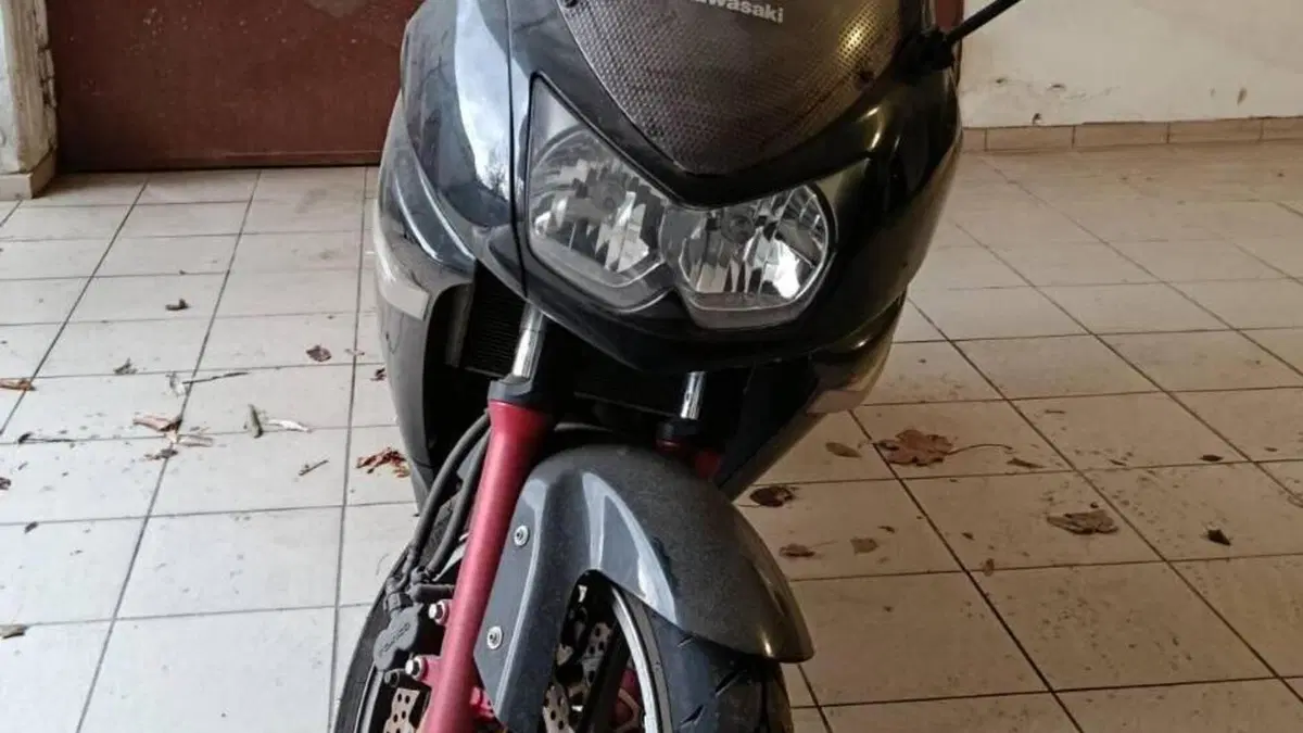 Kawasaki ER-6F (2006 - 08)  (10)