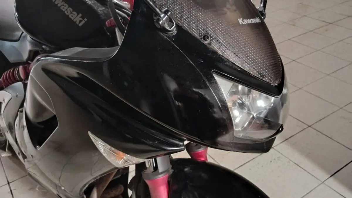 Kawasaki ER-6F (2006 - 08)  (12)