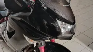 Kawasaki ER-6F (2006 - 08)  (12)