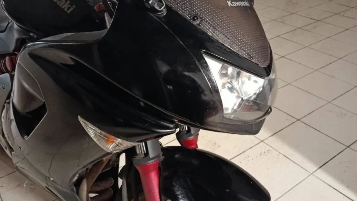 Kawasaki ER-6F (2006 - 08)  (13)