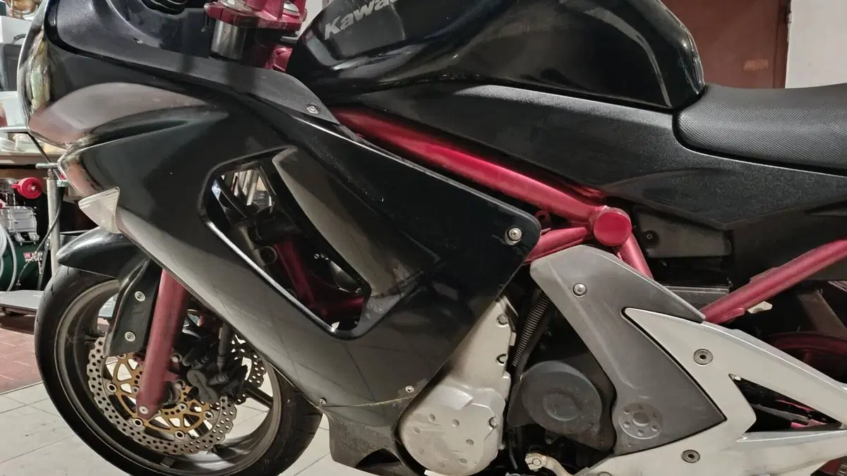 Kawasaki ER-6F (2006 - 08)  (16)