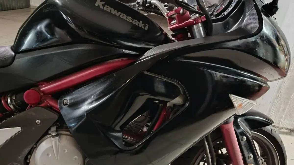 Kawasaki ER-6F (2006 - 08)  (20)