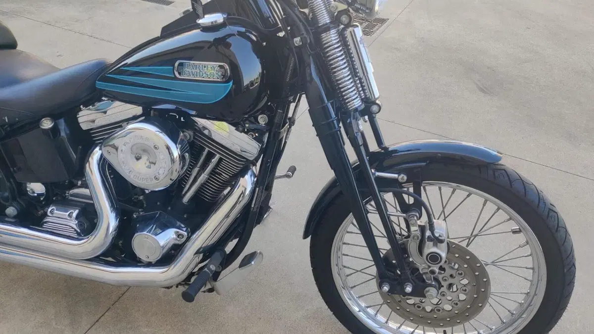 Harley-Davidson 1340 Heritage Springer (1997 - 99) - FLSTS  (12)