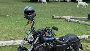 Harley-Davidson 1200 Forty-Eight Special (2018 - 20) 